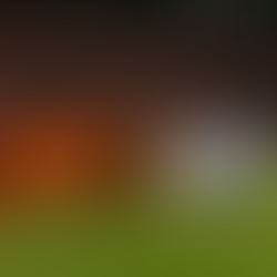 ⚽🔥 “오렌지 군단의 질주! 네덜란드 vs 핀란드 – 유럽예선 주도권을 건 대결” 🔥⚽