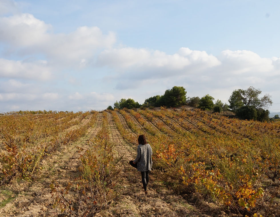 penedes