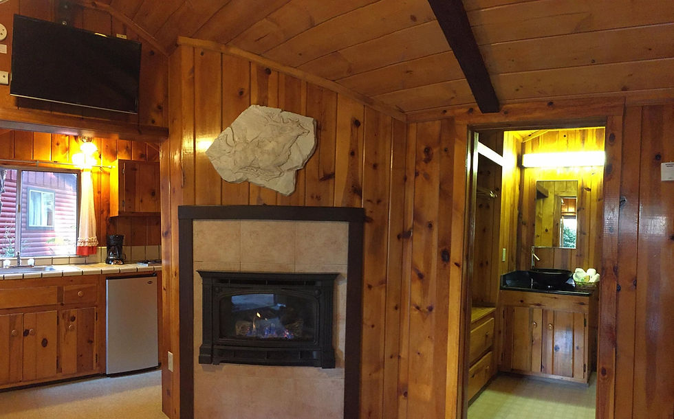 cabin 2 (18).jpg