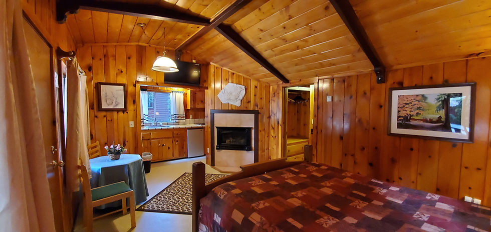 cabin 2 (32).jpg