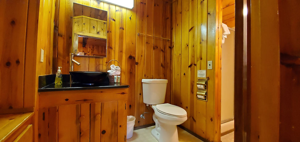 cabin 2 (39).jpg