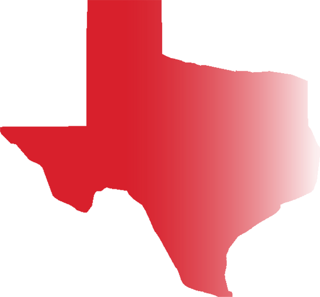Texas Icon