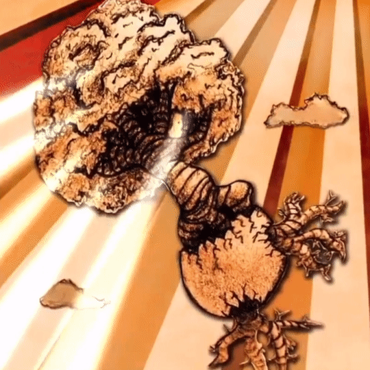 occo.gif