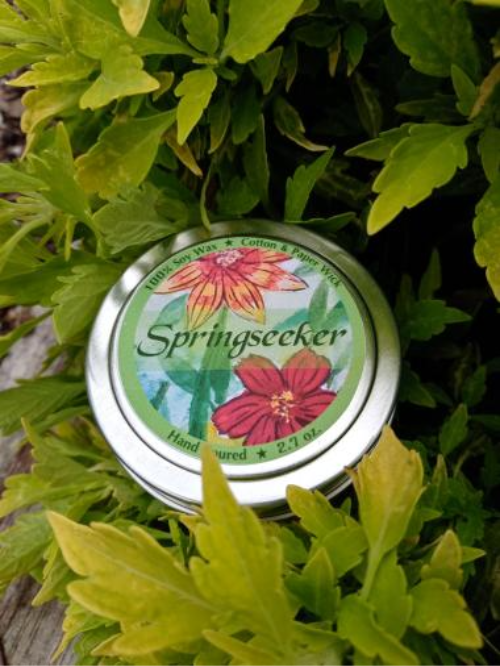 Springseeker