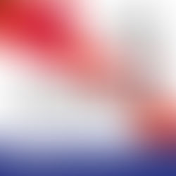 "Not An Exhibition", o forse si