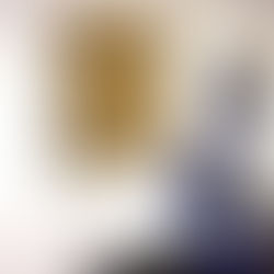 “Lo potevo fare anche io”