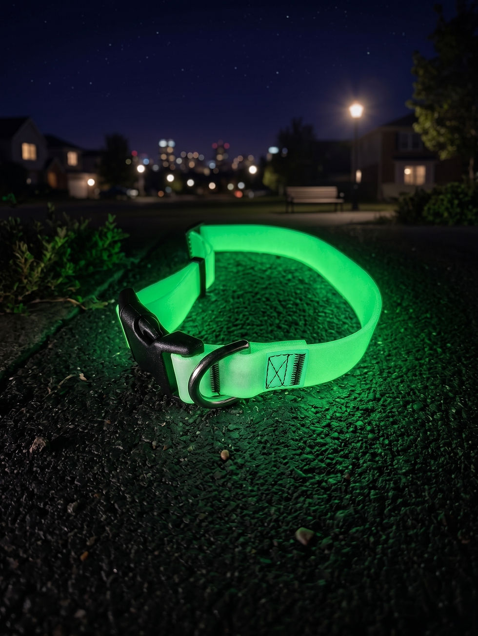 Glow-in-the-dark dog collar glowing green on pavement at night