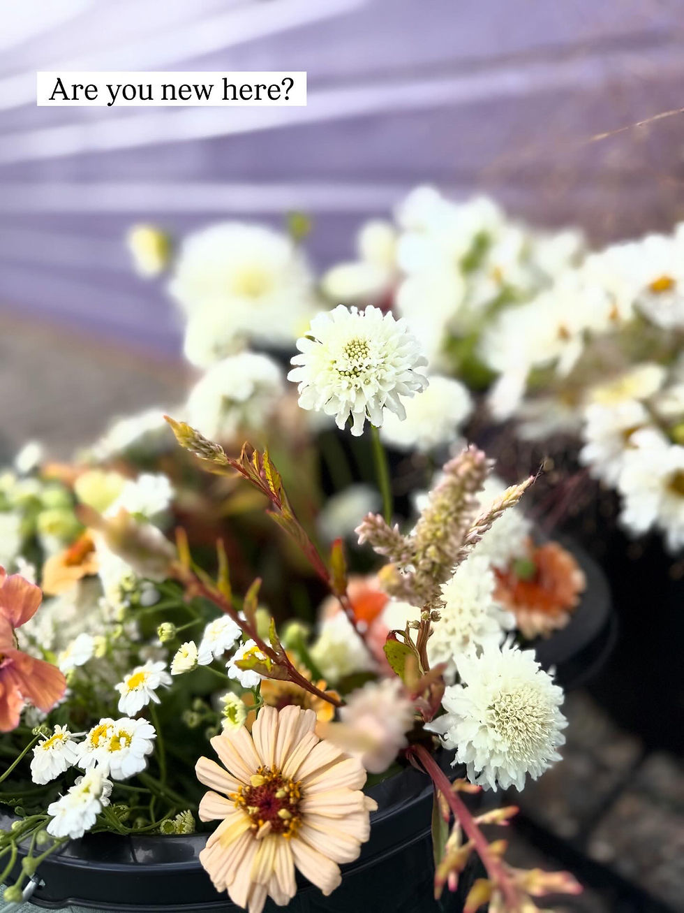 Thumbnail: Mixed Flower Bucket - Growers Choice