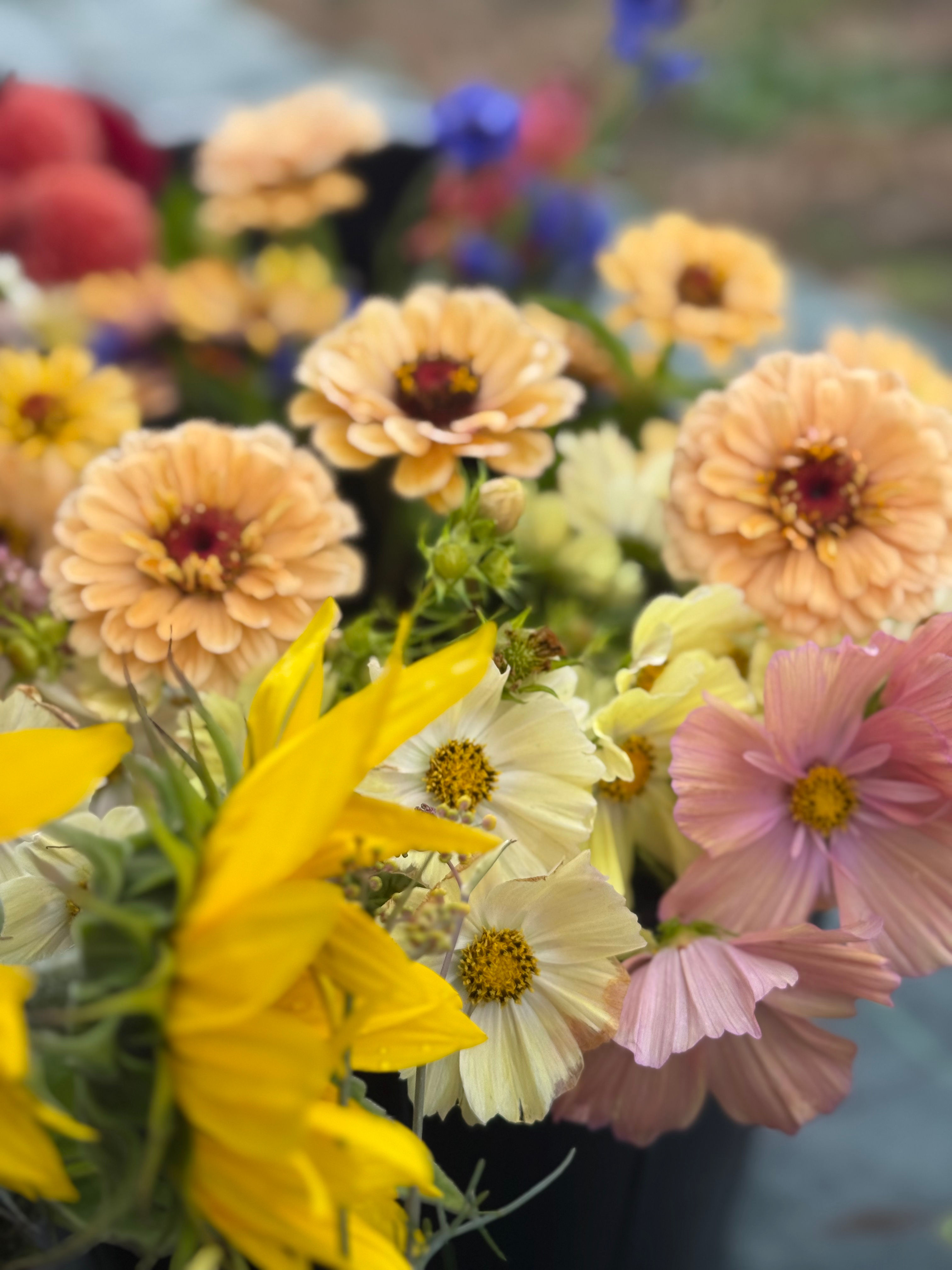 Mixed Flower Bucket - Growers Choice
