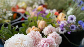 Christmas Gifts for Gardeners and Flower Lovers in Wirral