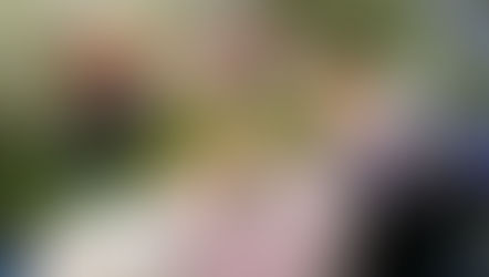 Christmas Gifts for Gardeners and Flower Lovers in Wirral