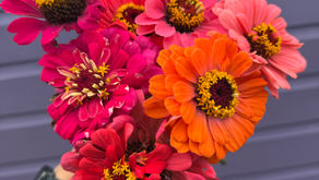 Exciting Flower Trends for 2026: Embrace Nature's Beauty!