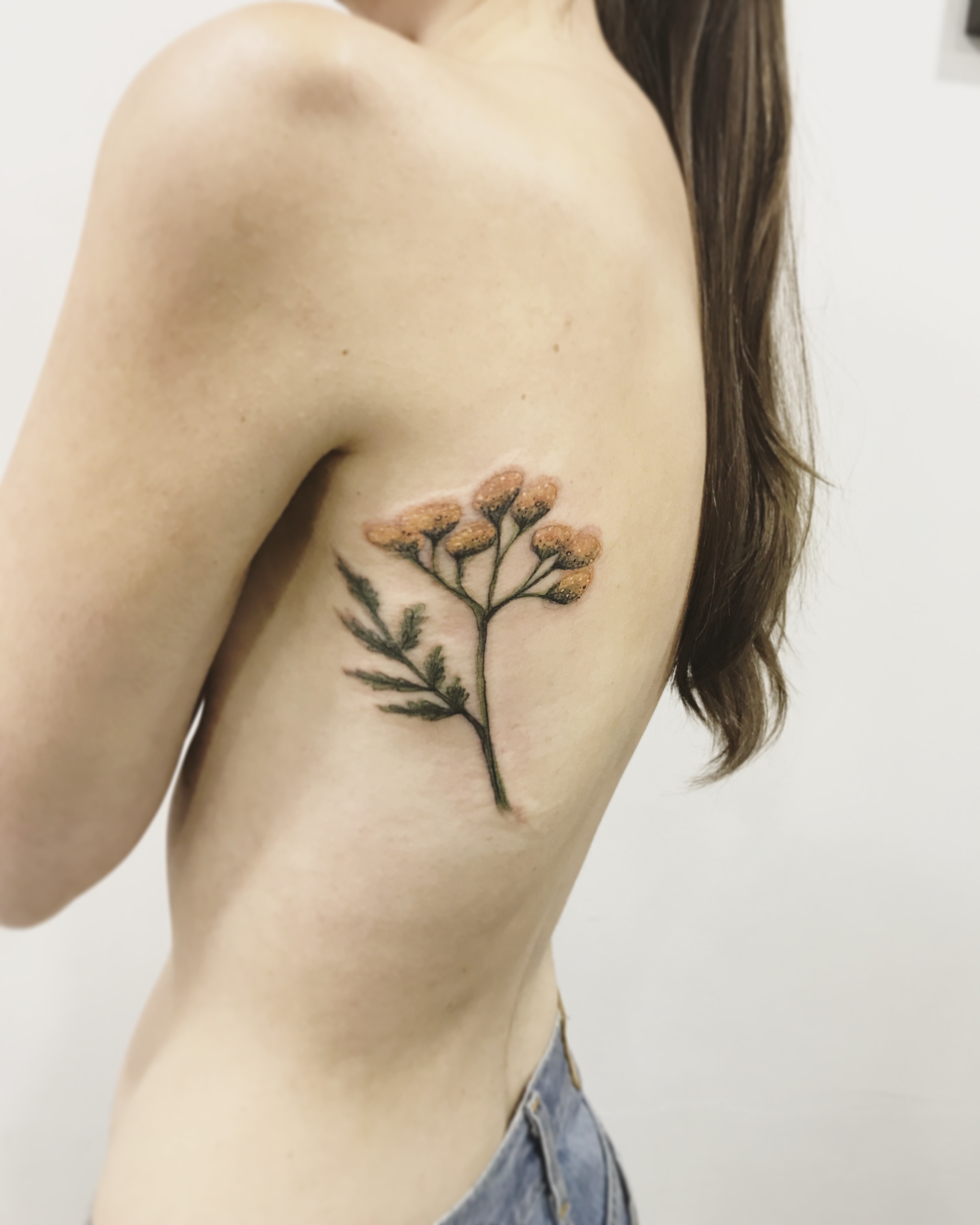 Tansy
