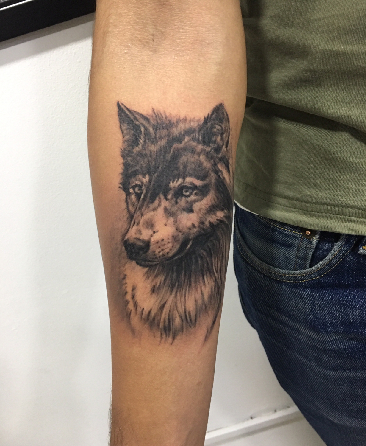 lobo3