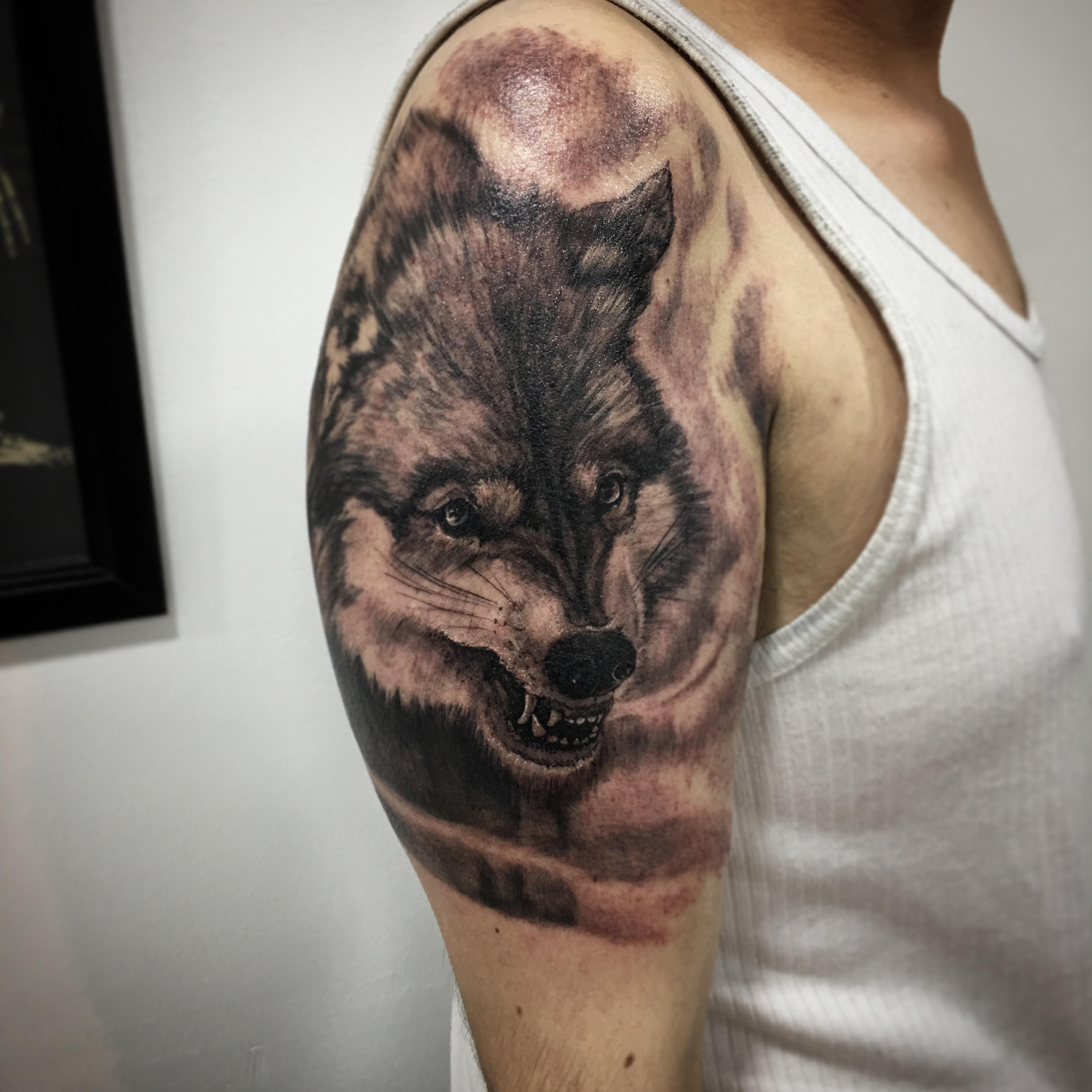 lobo