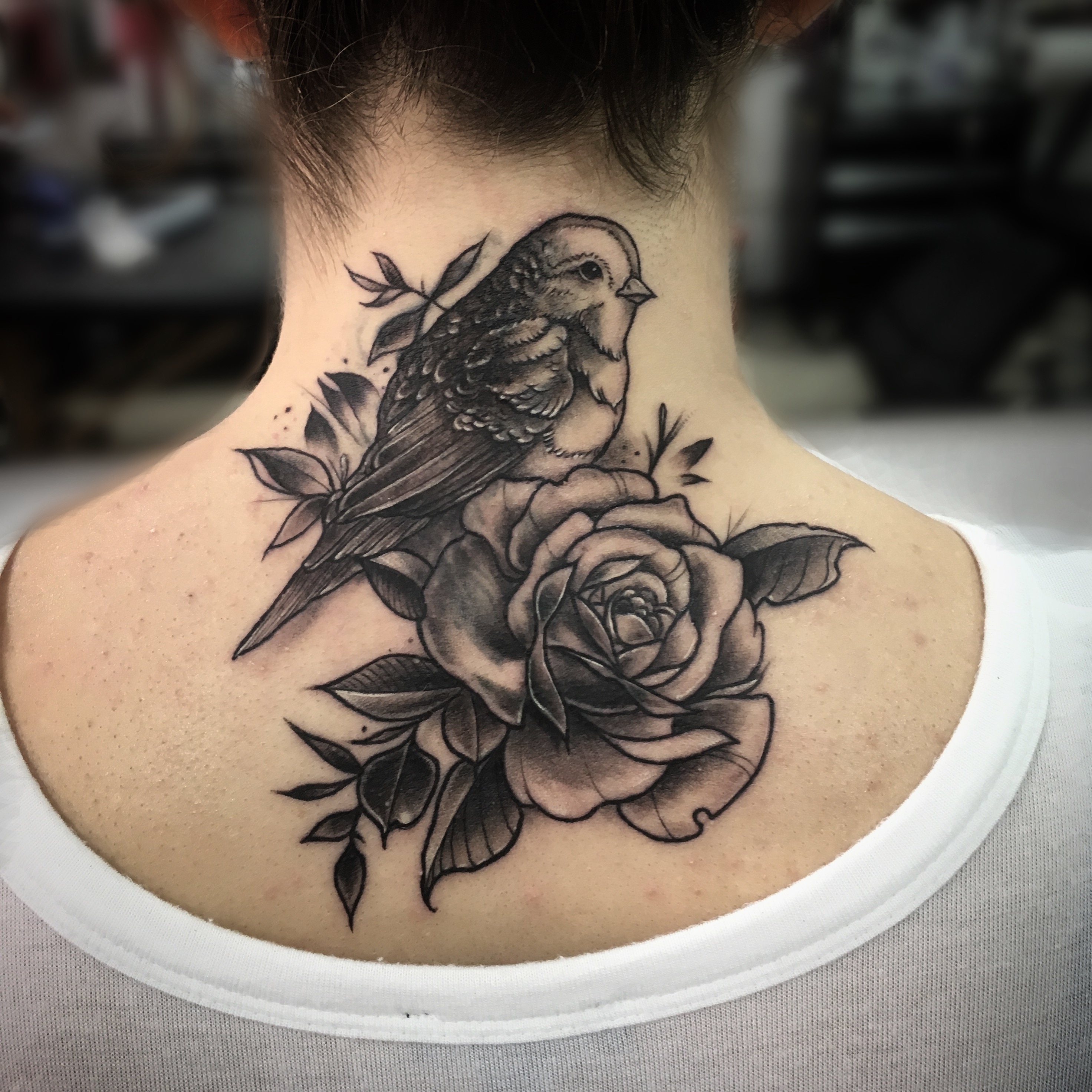 cover up