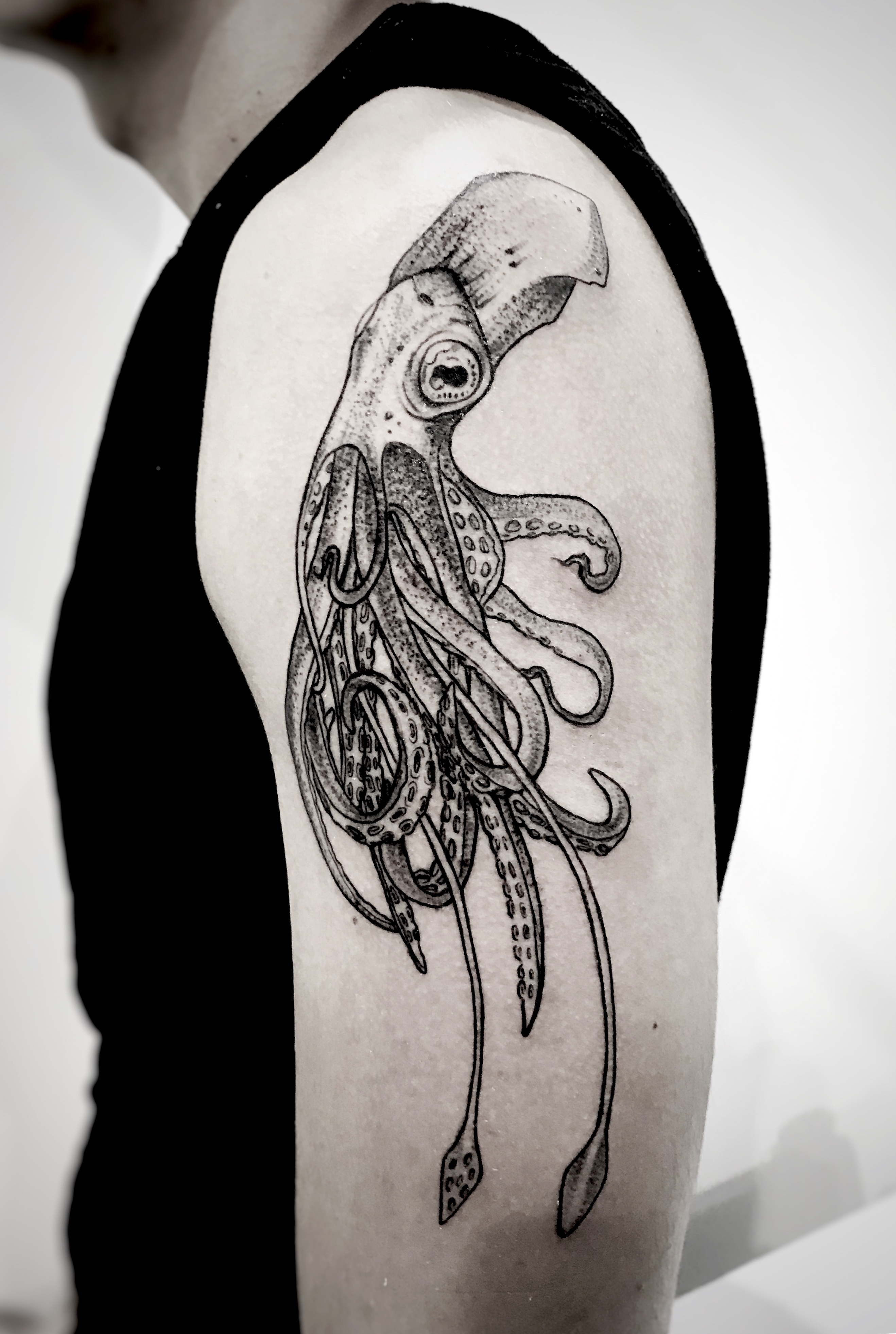 Squid