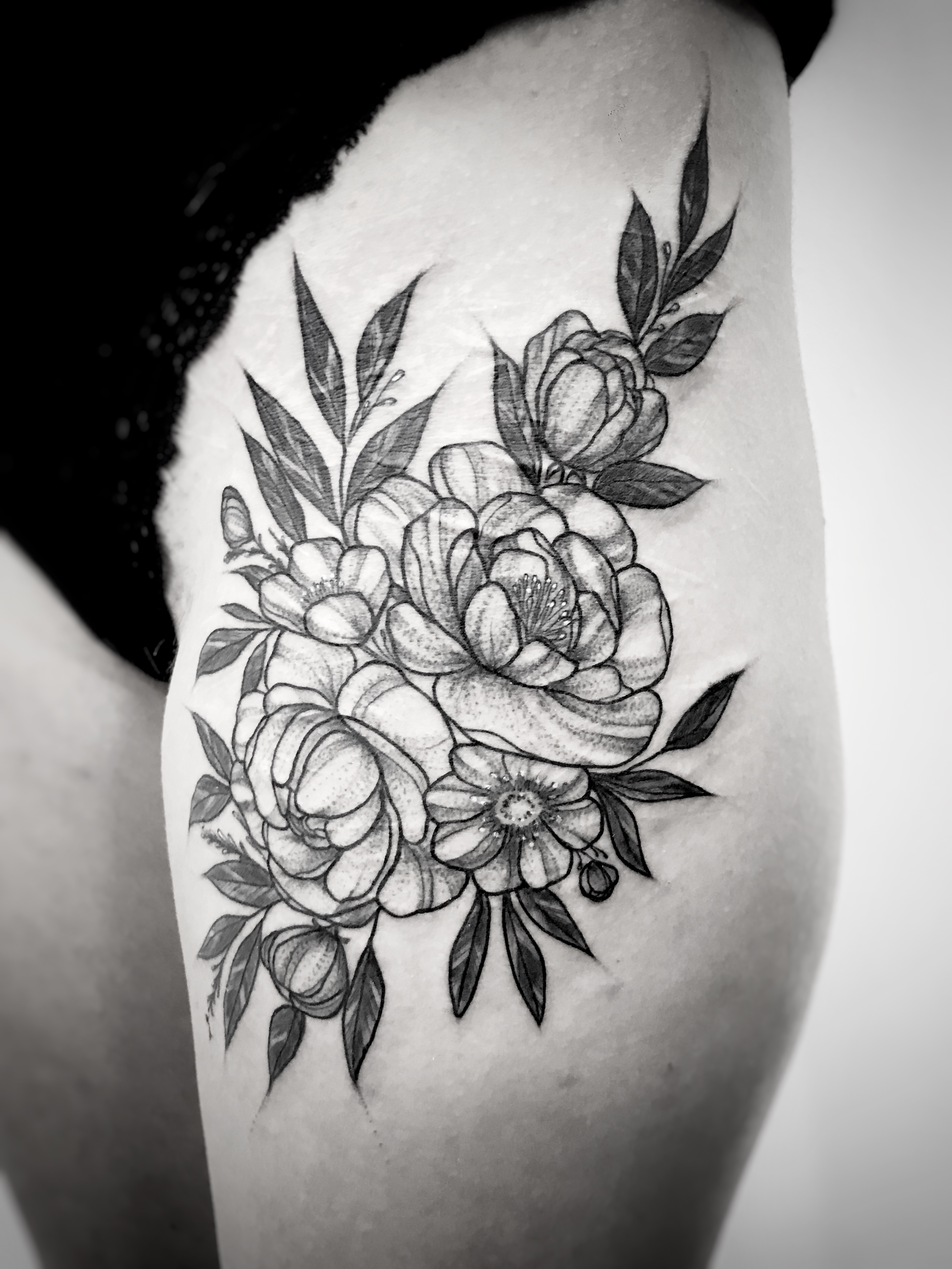 Black Peonies
