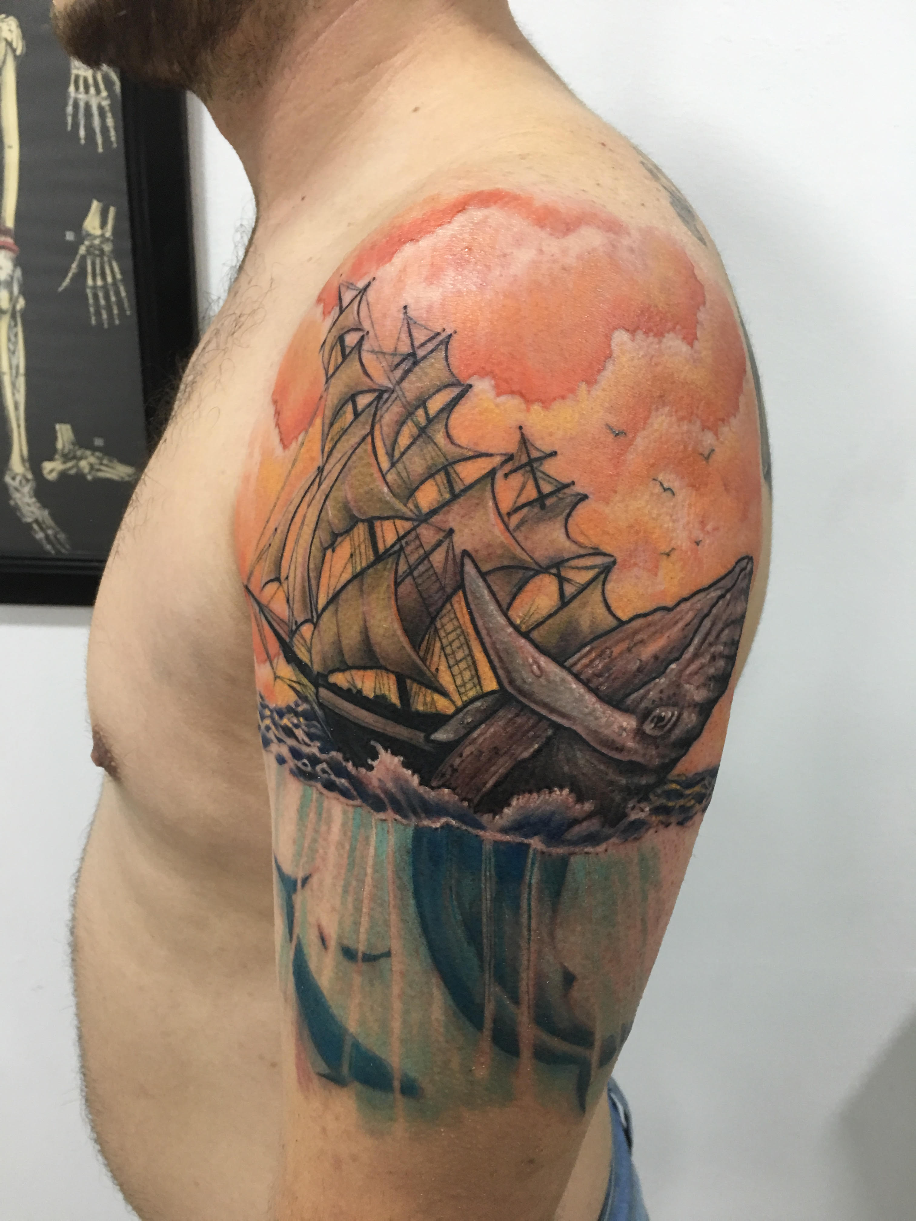 ballena barco