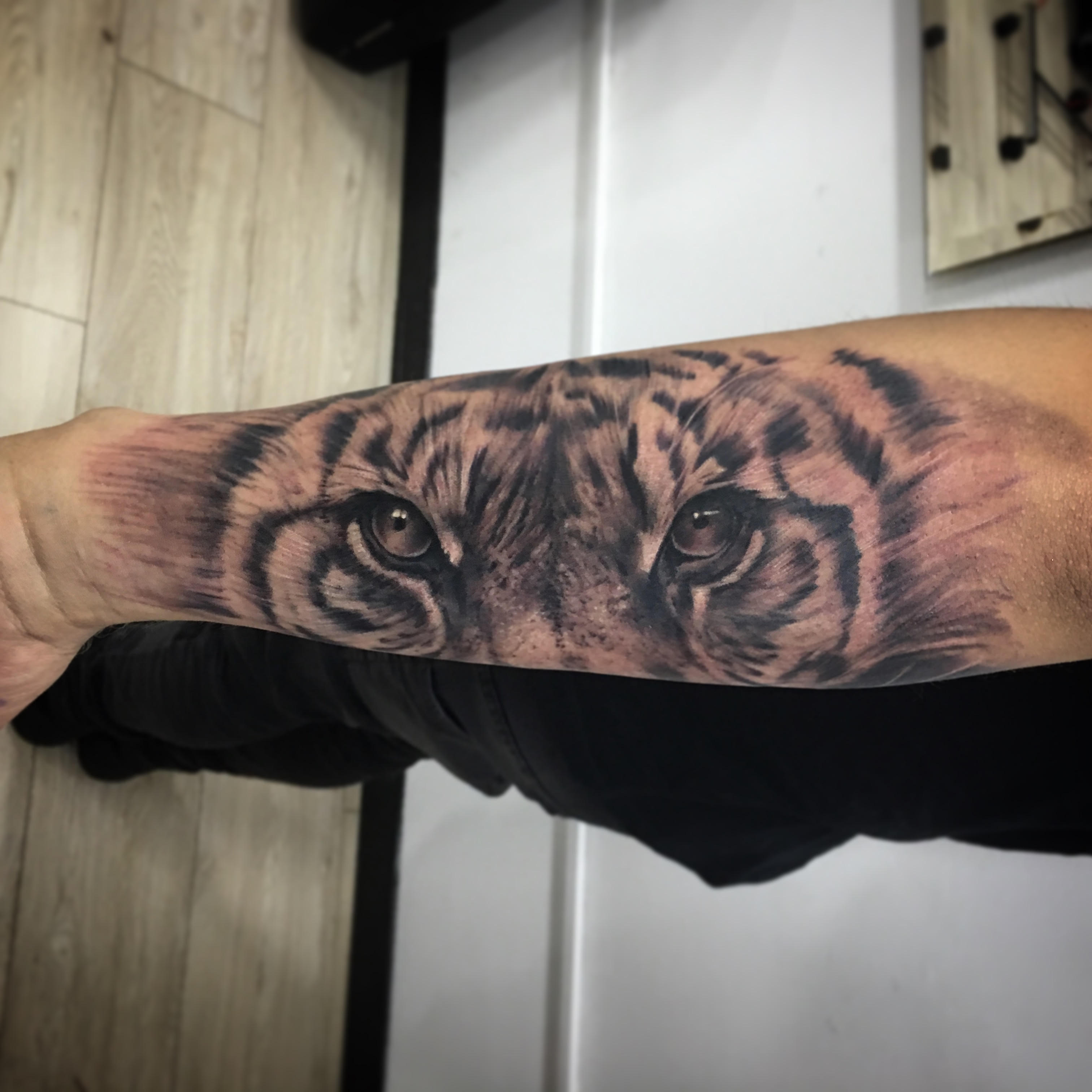 tigre2