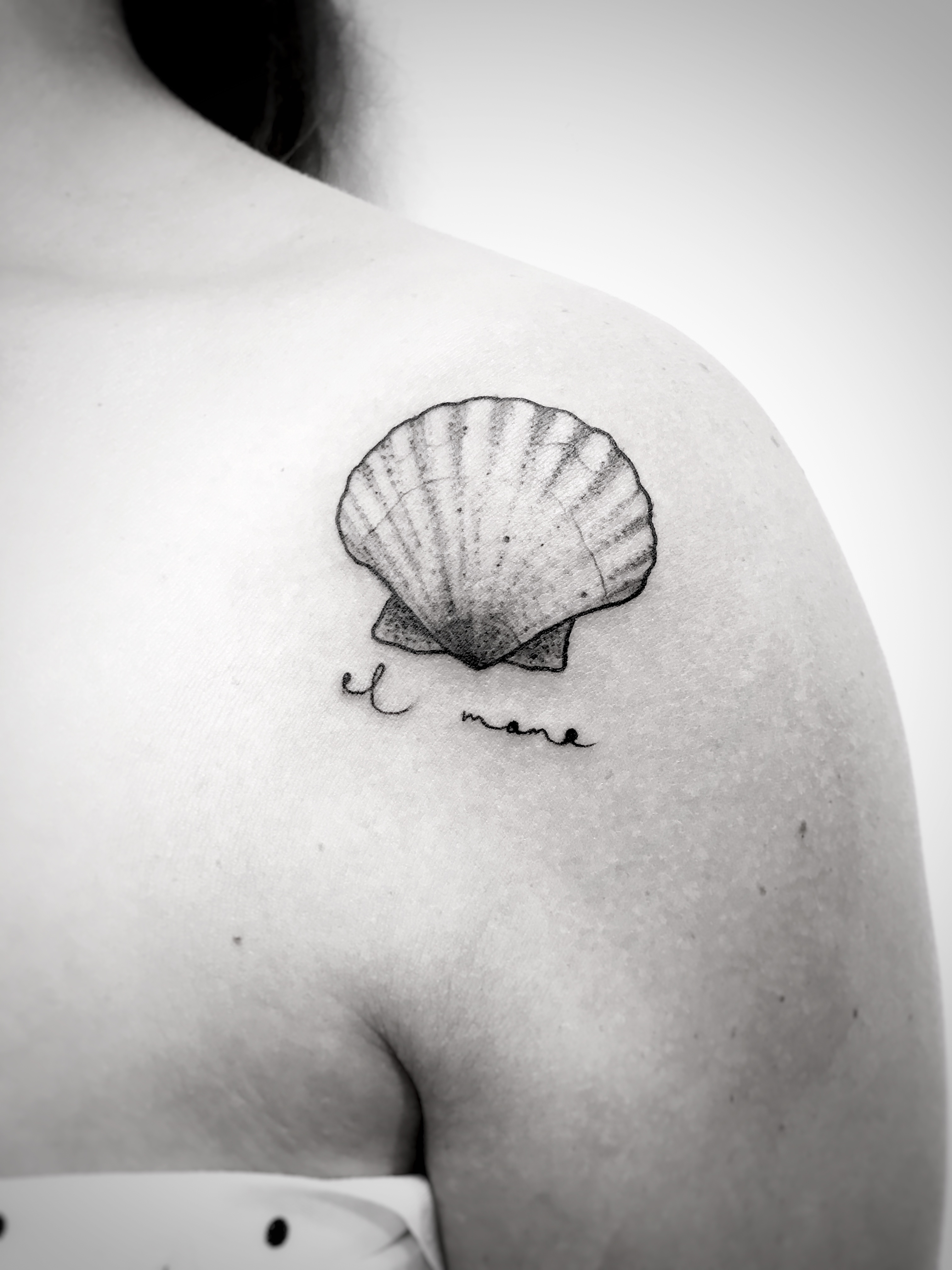 Shell