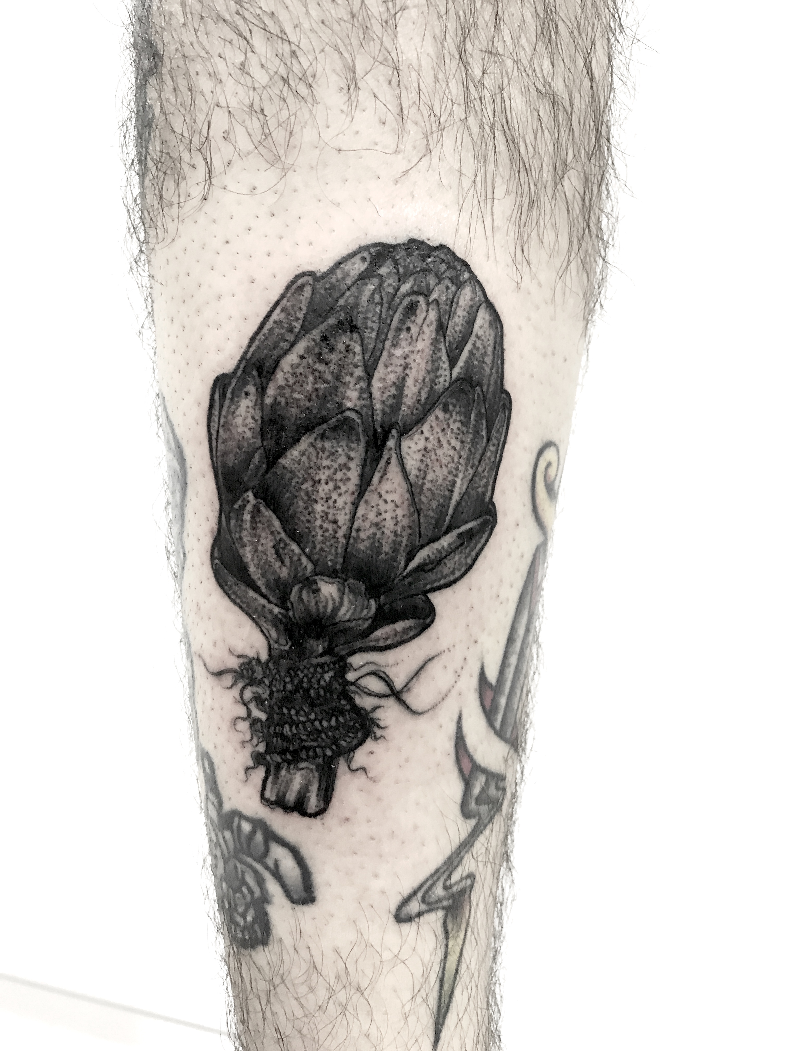 Artichoke