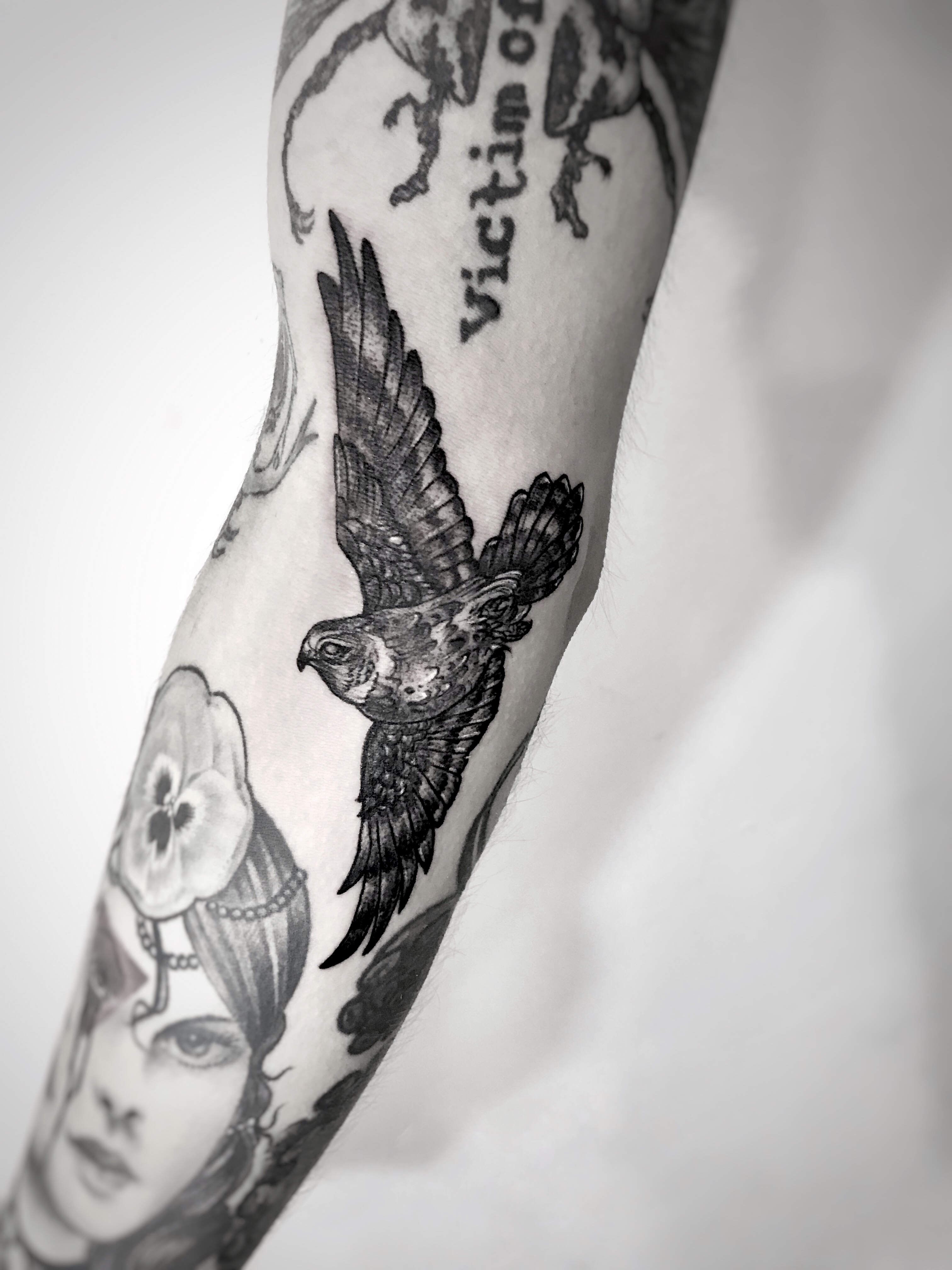 Eagle