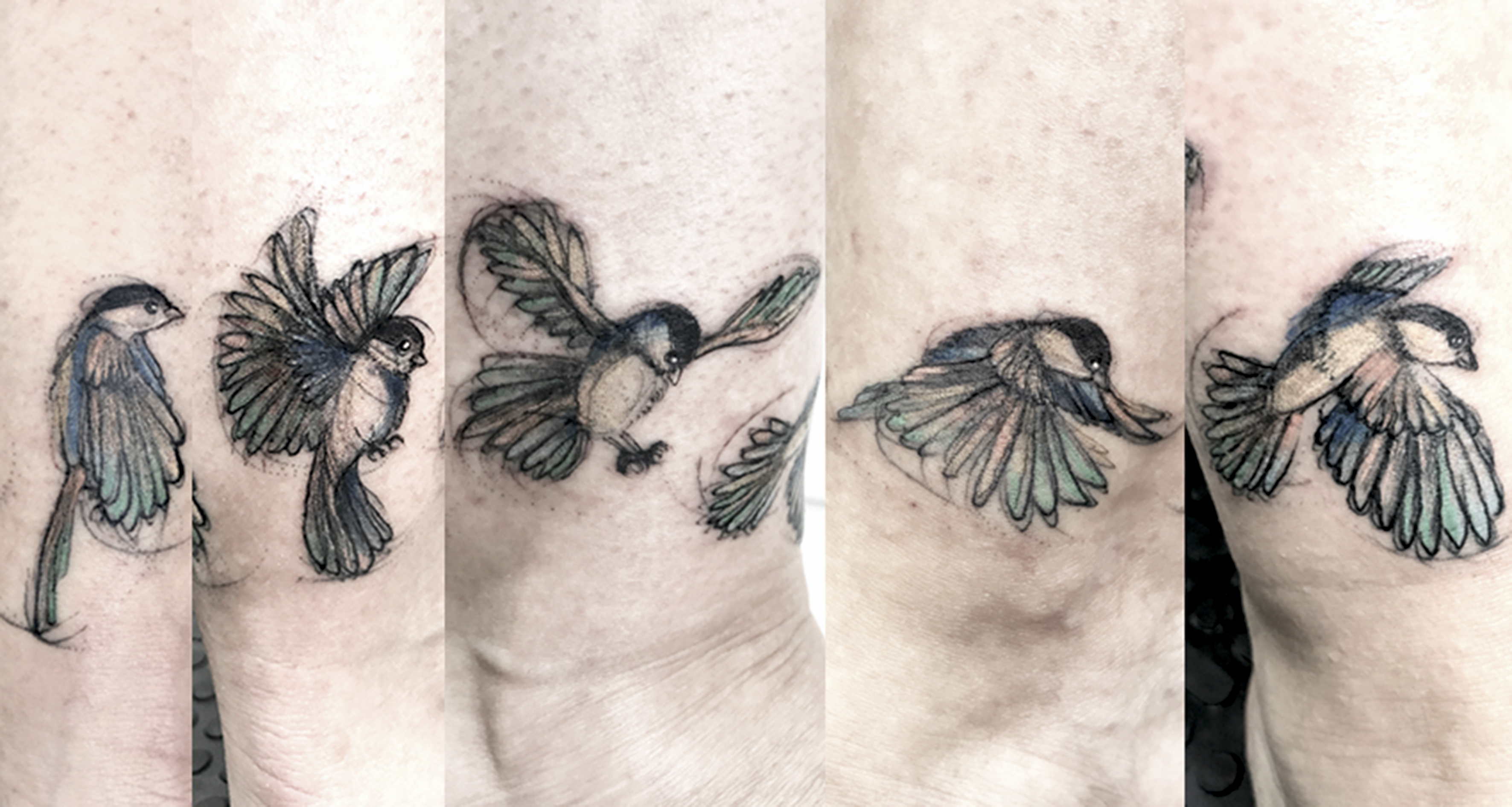 Birds flying