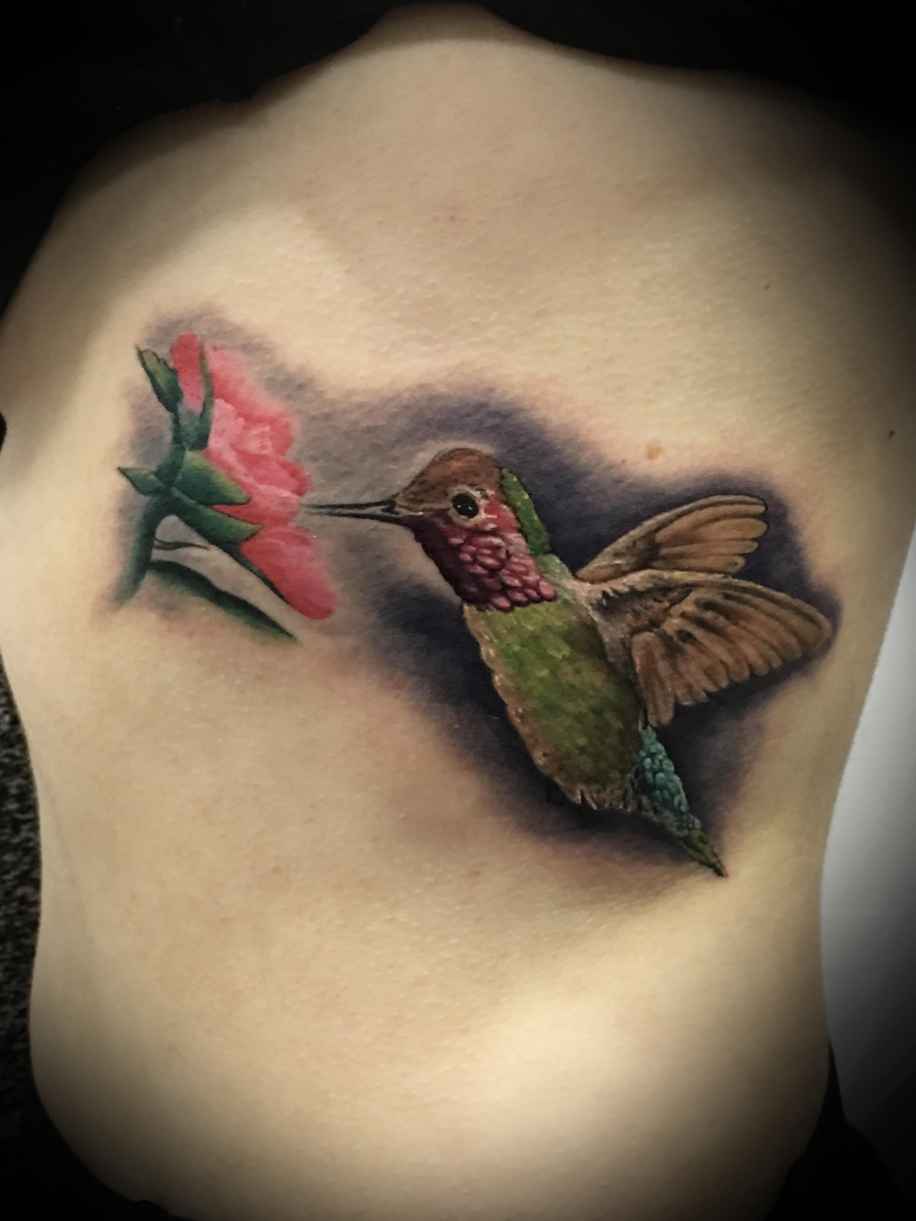 Colibri