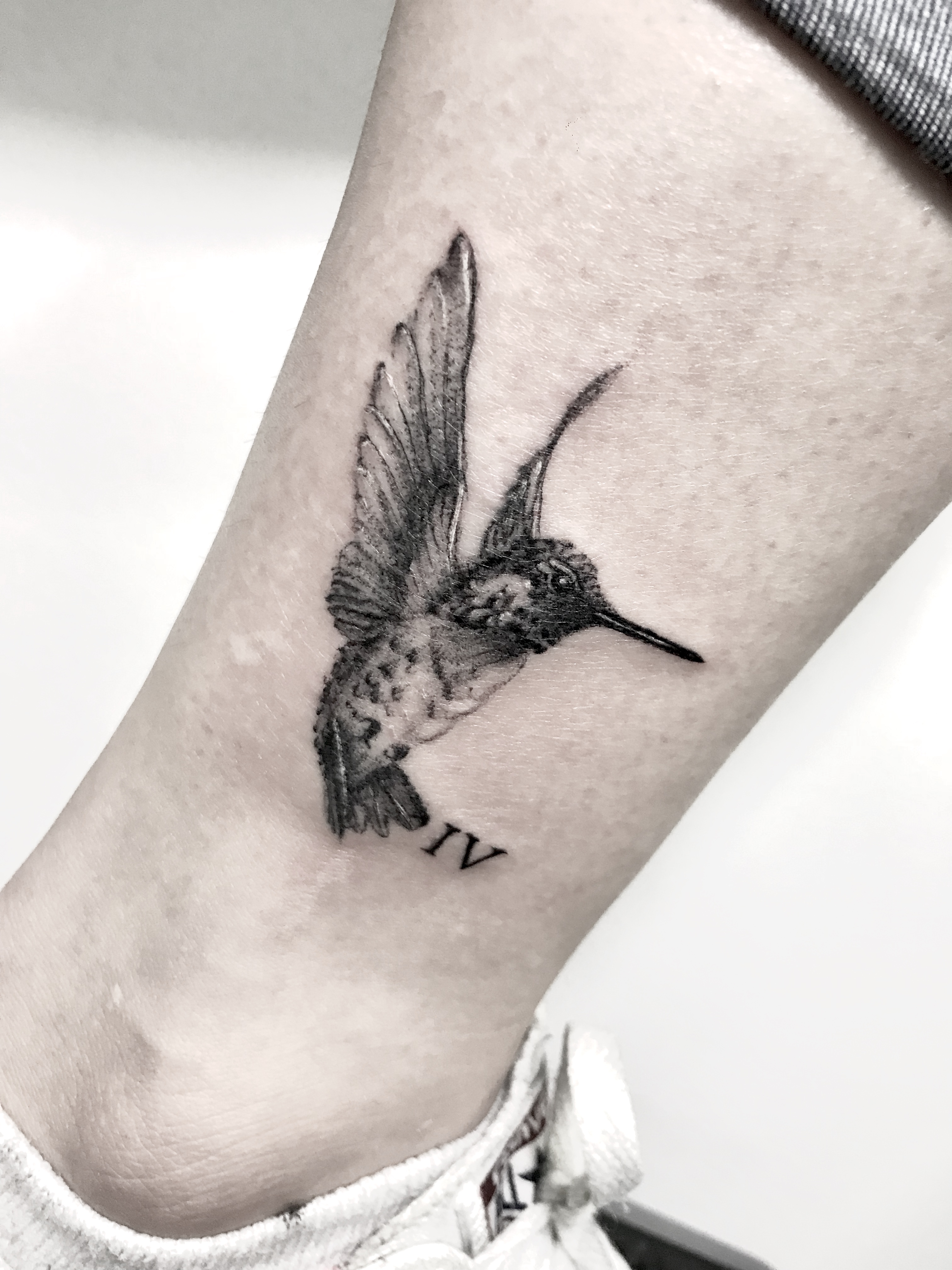Hummingbird blackwork