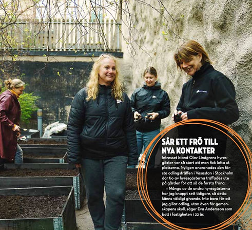 Odling hos Olov Lindgren i Birkastan