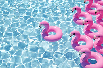 flamant rose marketing