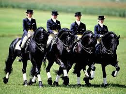 HPF Adult Quadrille Clinic