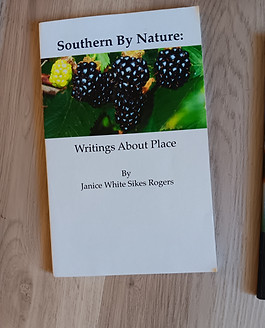 Southern BN cover.jpg