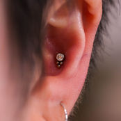 helix piercing featuring titanium jewelry from leroi and anatometal