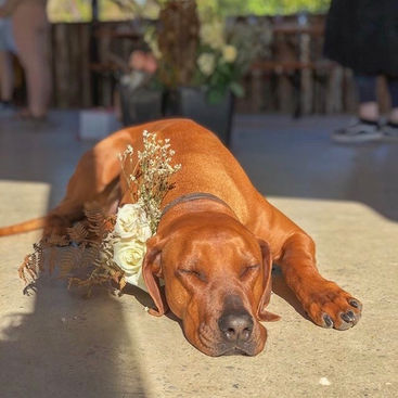 Life's Rides Are Always Better With Your Best Friend By Your Side...