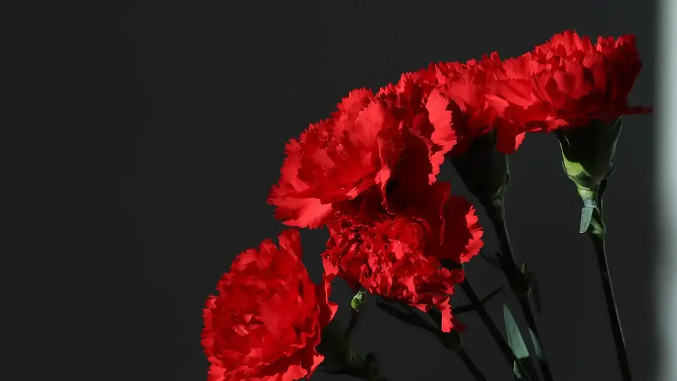 25 ABRIL | KAMALA CONVIDA VIRGUL + BLAYA + NBC + TOM ENZY | Garden (17h às 23h) & Club (23h às 04h)