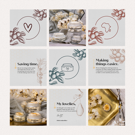 A 3x3 Instagram grid combining Zoe Bee skincare product photos, hand-drawn botanical illustrations, and text graphics focused on transparency and product updates.