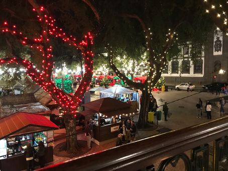 Christmas in Madeira by Mark Blezard