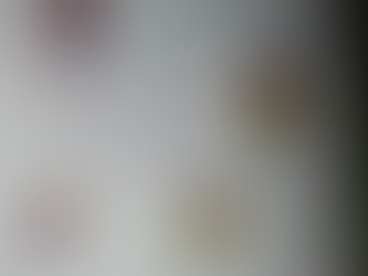 Correção 17/06: Livro de Natureza e Sociedade