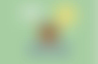 19.04.2021/ Dia do Índio e revisão silábica do B,b.