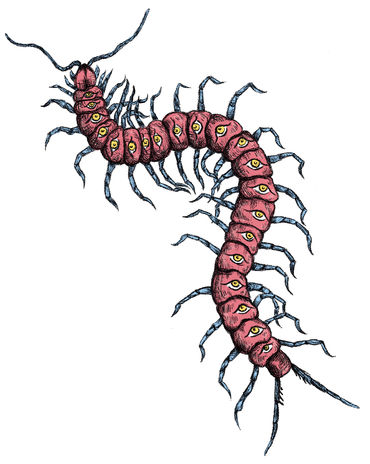 Claire_van Niekerk_Sticker1_2022.jpg