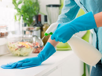 PROTOCOLO DE BIO SEGURIDAD PARA LOS EMPLEADOS DOMÉSTICOS