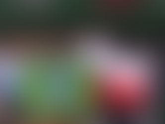 BRASIL É CAMPEÃO MASCULINO NA MEIA MARATONA DE PORTUGAL