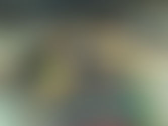 CBDI DÁ A LARGADA PARA O CAMPEONATO BRASILEIRO DE NATAÇÃO 2023