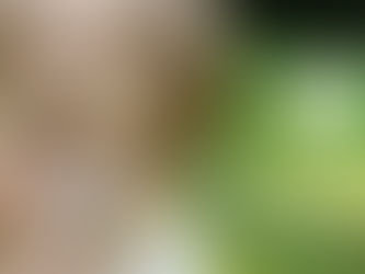 DIA MUNDIAL DA SÍNDROME DE DOWN: CBDI CUMPRIMENTA AOS ATLETAS E COLABORADORES