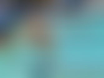 BRASILEIRO DE NATAÇÃO 2017: ABDEM PUBLICA LICITAÇÃO