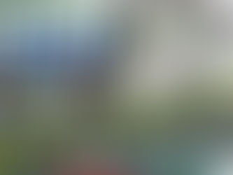 CAMPEONATO BRASILEIRO DE NATAÇÃO 2022: IMPRESSÕES DE PARTICIPANTES