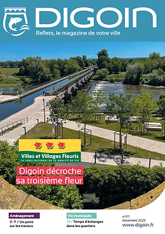 Capture d'écran 2025-11-19 101708.png