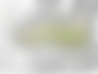 Des projets qui sortent de terre !